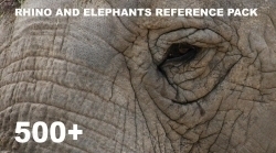 500张大象犀牛等动物造型高清参考图合集