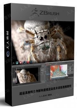 超逼真蜘蛛生物解构建模渲染技术训练视频教程