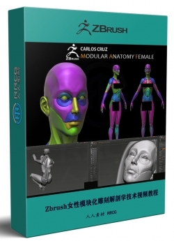 Zbrush女性模块化雕刻解剖学技术视频教程