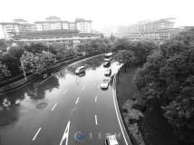 雨天城市穿梭的车辆黑白影像高清实拍视频素材