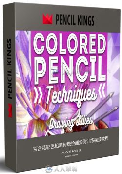 百合花彩色铅笔传统绘画实例训练视频教程