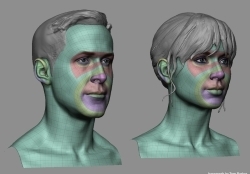 男性女性头部面部基础网格3D模型合集