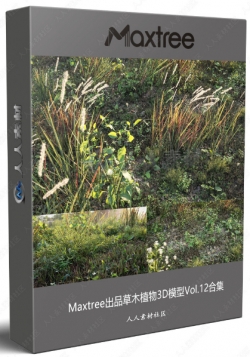 Maxtree出品草木植物3D模型Vol.12合集