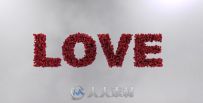 花瓣爱情Logo演绎动画AE模板 Videohive Love Leaves 1493344
