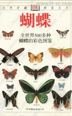 全世界500多种蝴蝶的彩色图鉴书籍杂志