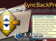《同步备份软件》(2BrightSparks SyncBack Pro )v6.2.30.0 Multilingual [压缩包]