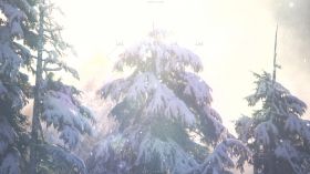 冬季阳光下大雪纷飞中的松树高清实拍视频素材