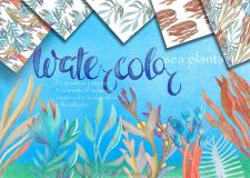 水彩风格海底植物平面素材Watercolor sea plants and patterns