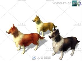 宠物狗哺乳动物角色3D模型Unity游戏素材资源