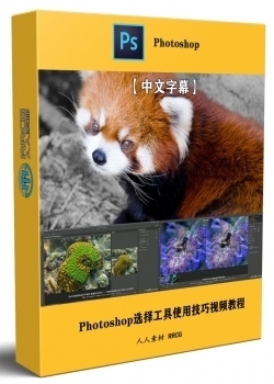 【中文字幕】Photoshop 2023选择工具使用技巧视频教程