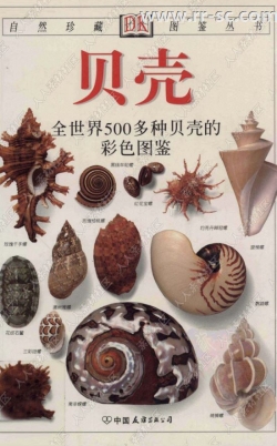 全世界500多种贝壳彩色图鉴书籍杂志