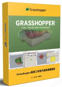 Grasshopper高效工作技巧训练视频教程