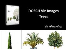 3D树木模型贴图合辑 DOSCH Viz-Images: Trees